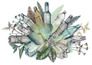 Keyvisual_PET Recycling_web_300